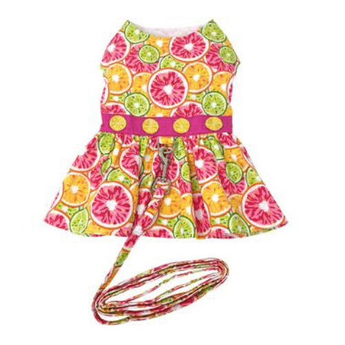 Citrus Slice Dog Dress with Matching Leash - Pooch Luxury