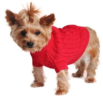 Combed Cotton Cable Knit Sweater - Fiery Red - Pooch Luxury