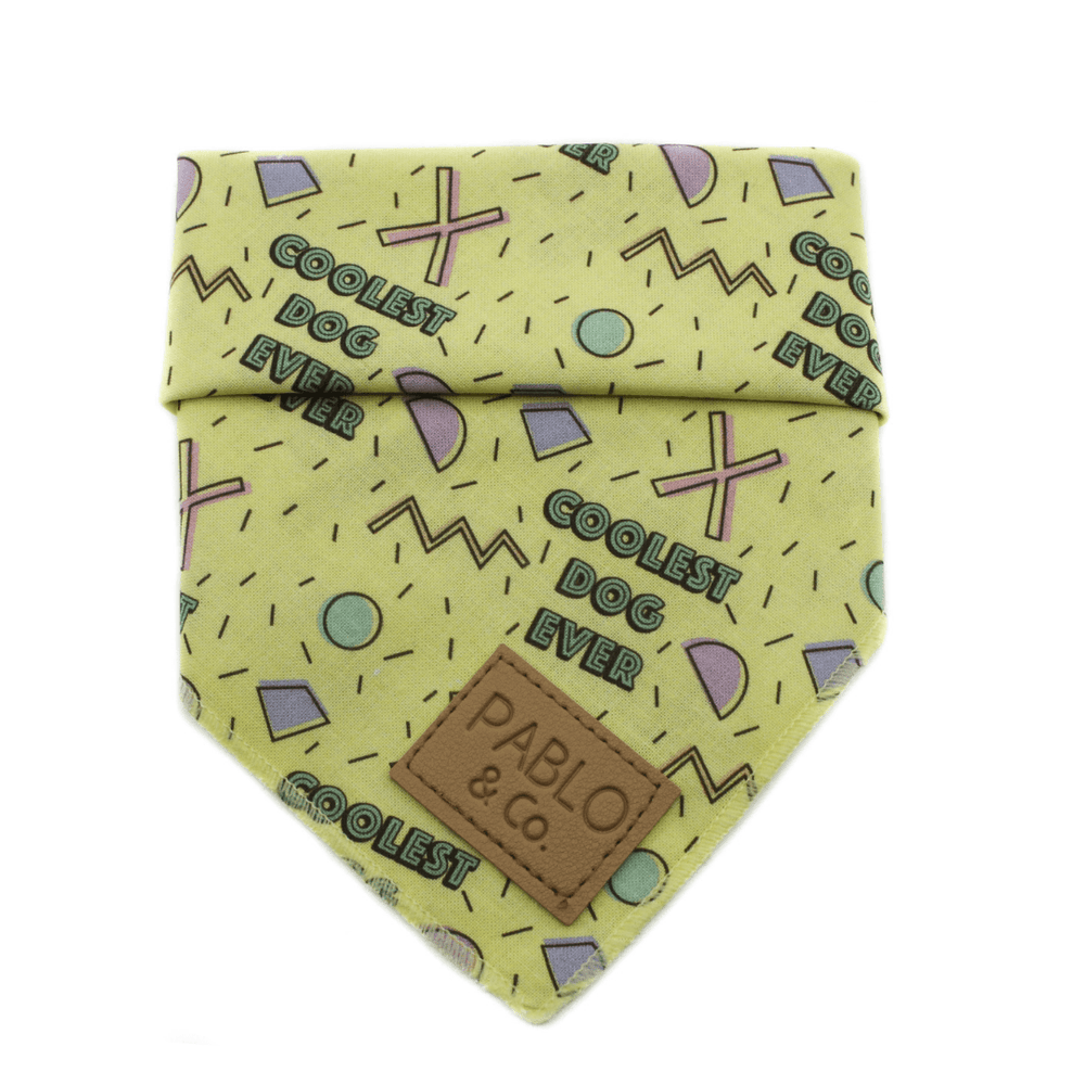 Coolest Dog Ever Bandana - Pooch Luxury