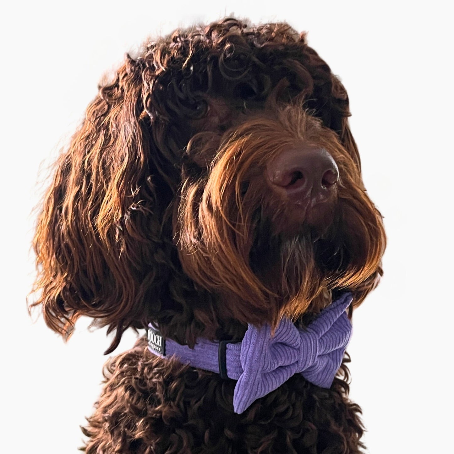 Corduroy Bow Tie - Dusty Purple - Pooch Luxury