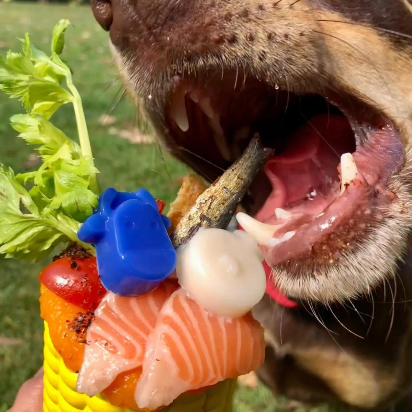 
                  
                    Corn On The Cob - Chew & Enrichment Toy - Pooch Luxury
                  
                