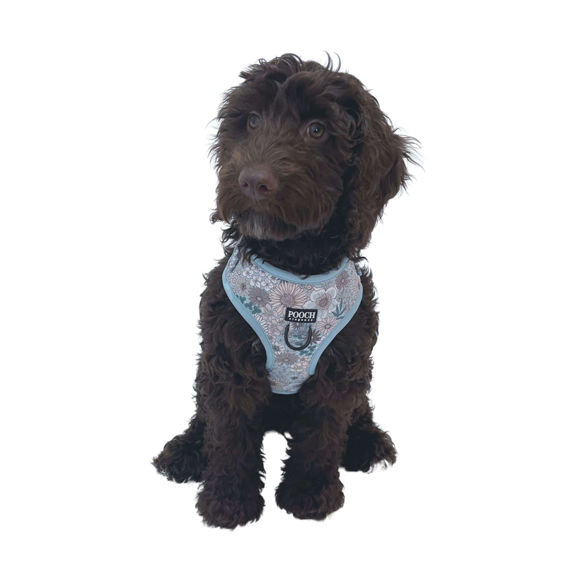 Cottage Garden Blooms Adjustable Dog Harness Pooch Luxury