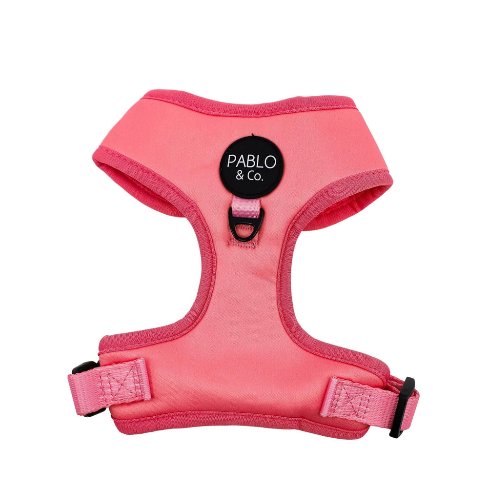 Cotton Candy Adjustable Dog Harness - Pooch Luxury