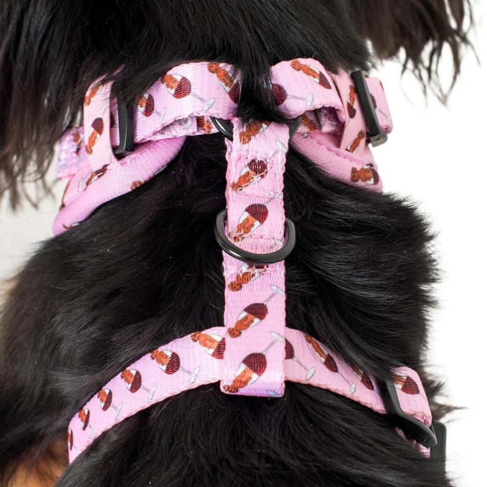 
                  
                    Dachshunds & Wine Adjustable Dog Harness - Pooch Luxury
                  
                