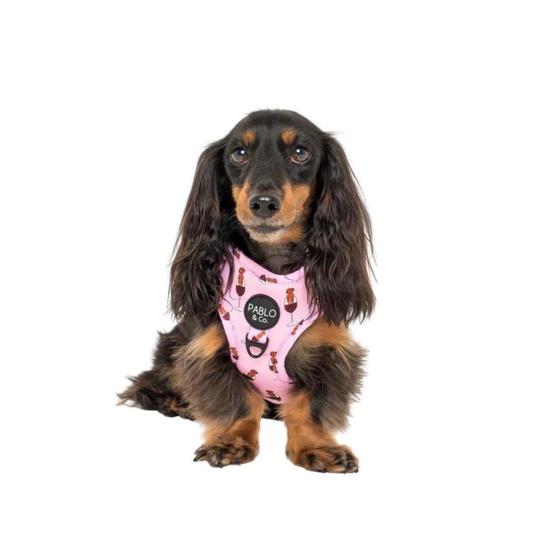 Dachshunds & Wine Adjustable Dog Harness - Pooch Luxury