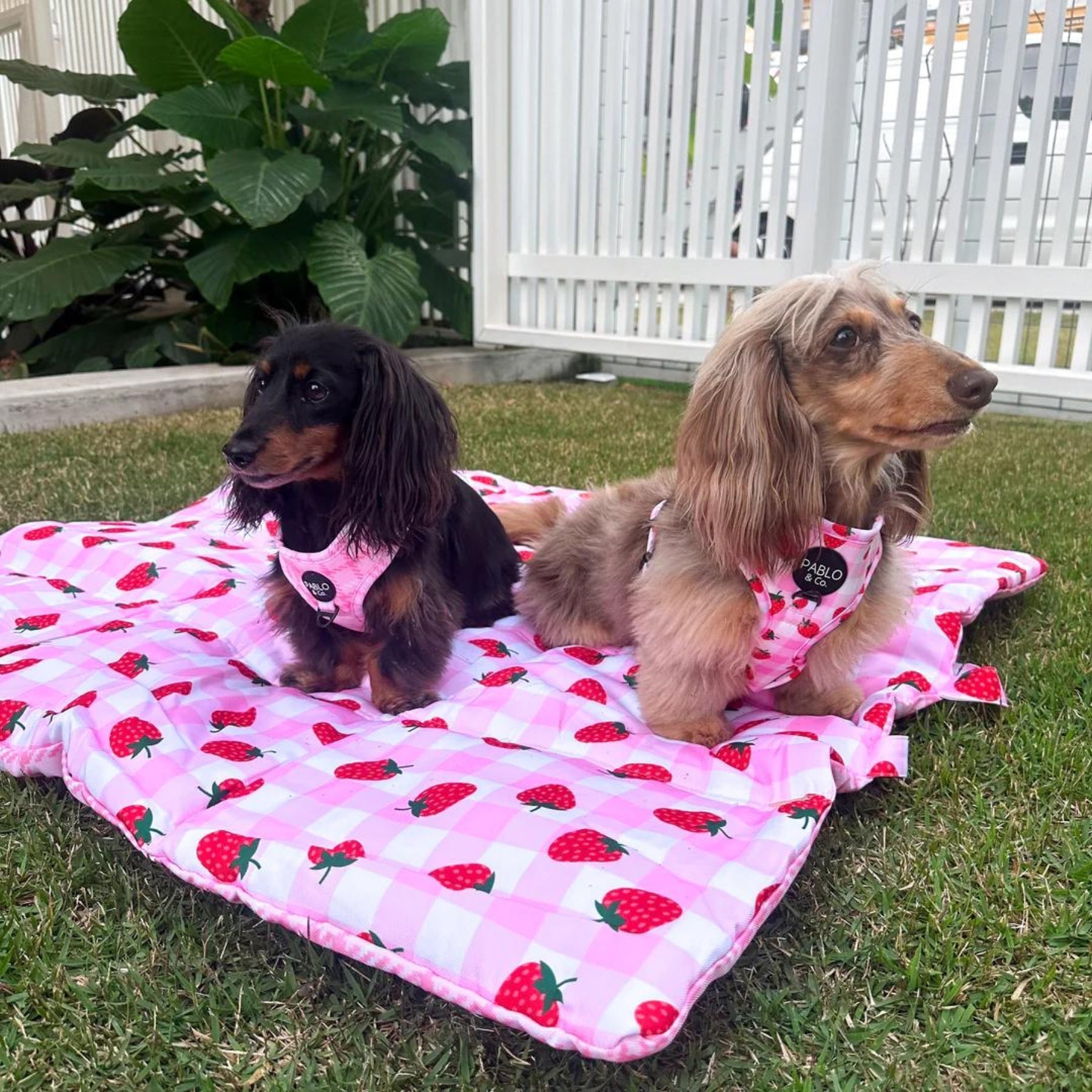 Deluxe Travel Mat - Strawberry Fields / Pink Houndstooth - Pooch Luxury
