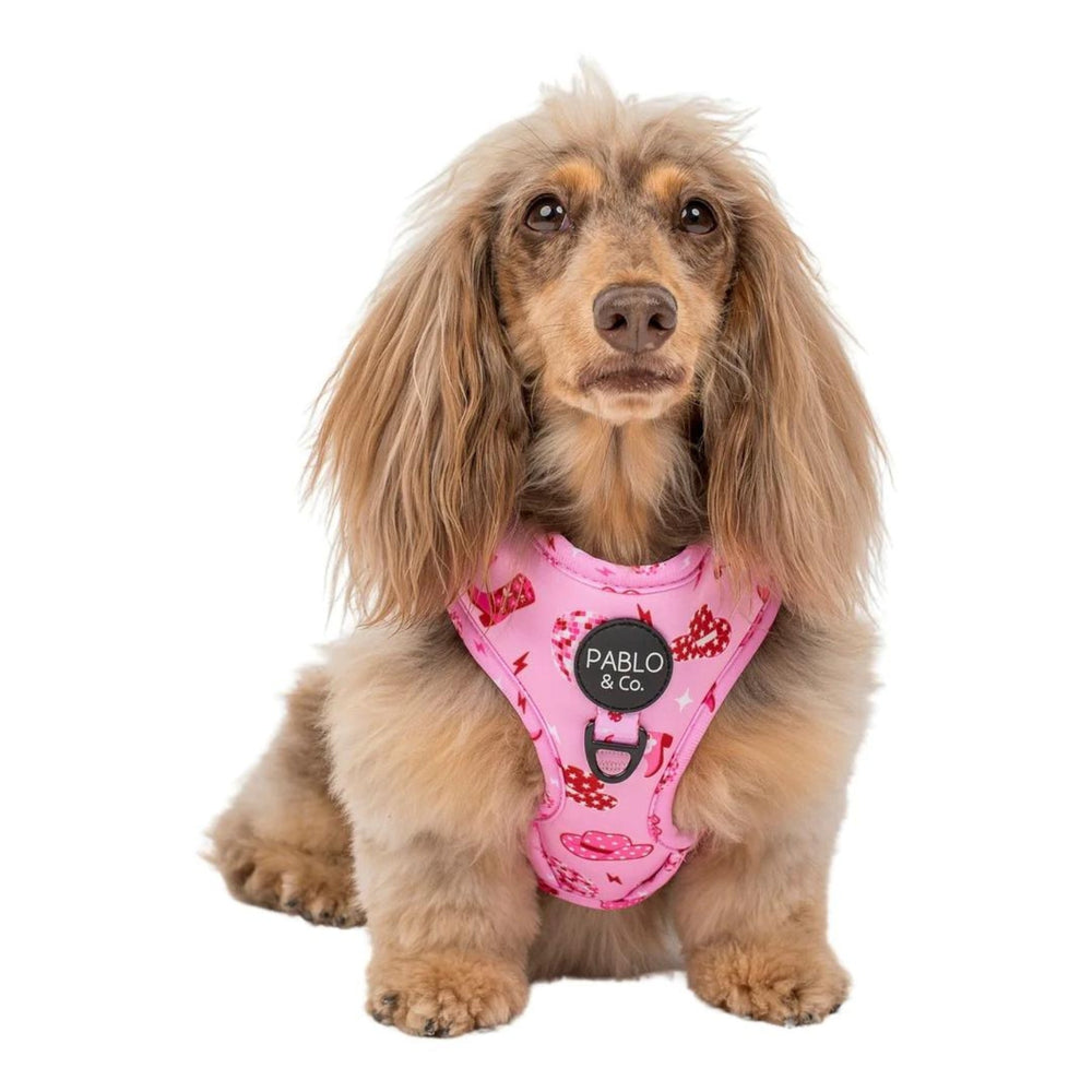 
                  
                    Disco Cowgirl Adjustable Dog Harness - Pooch Luxury
                  
                