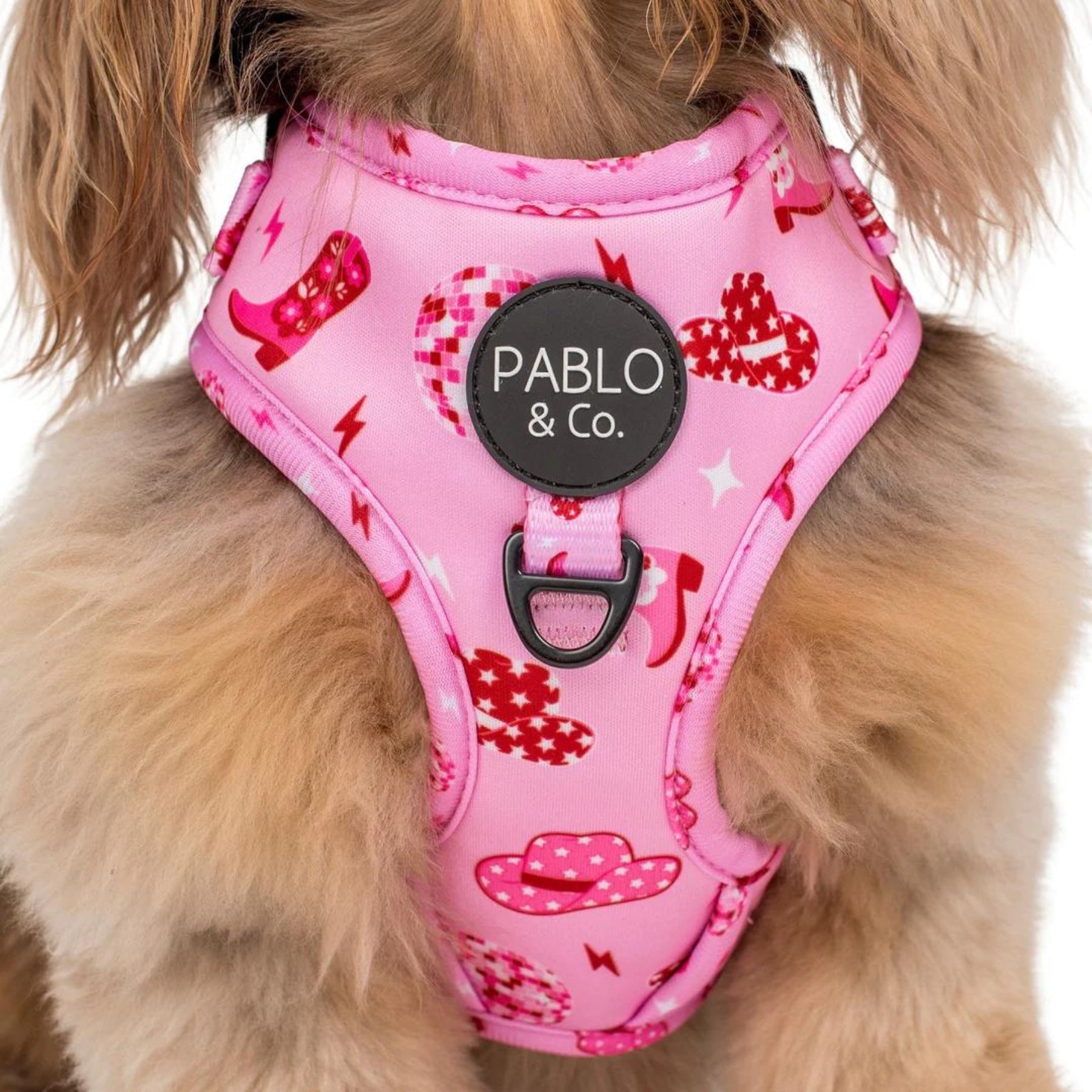 Disco Cowgirl Adjustable Dog Harness - Pooch Luxury