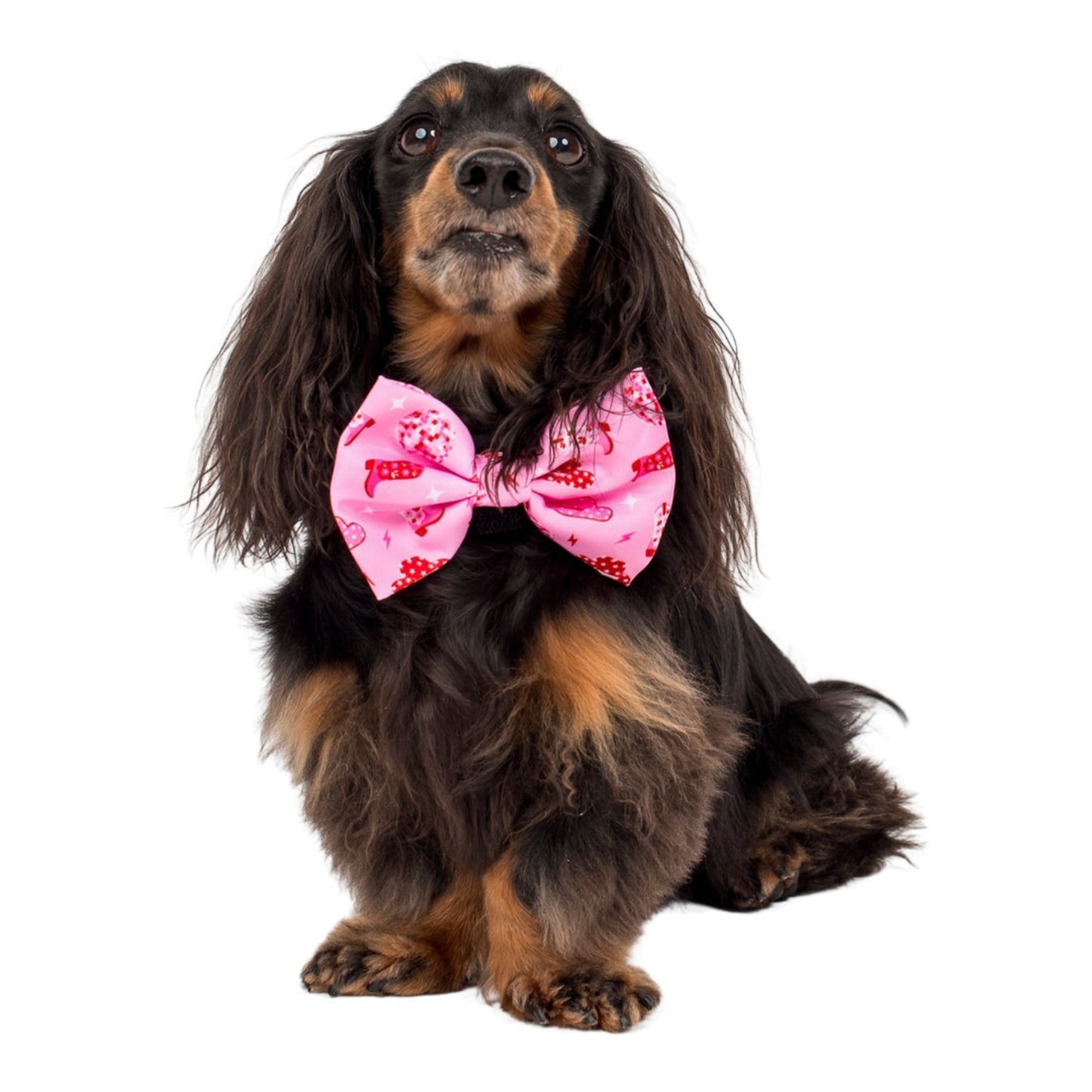Disco Cowgirl Bow Tie - Pooch Luxury