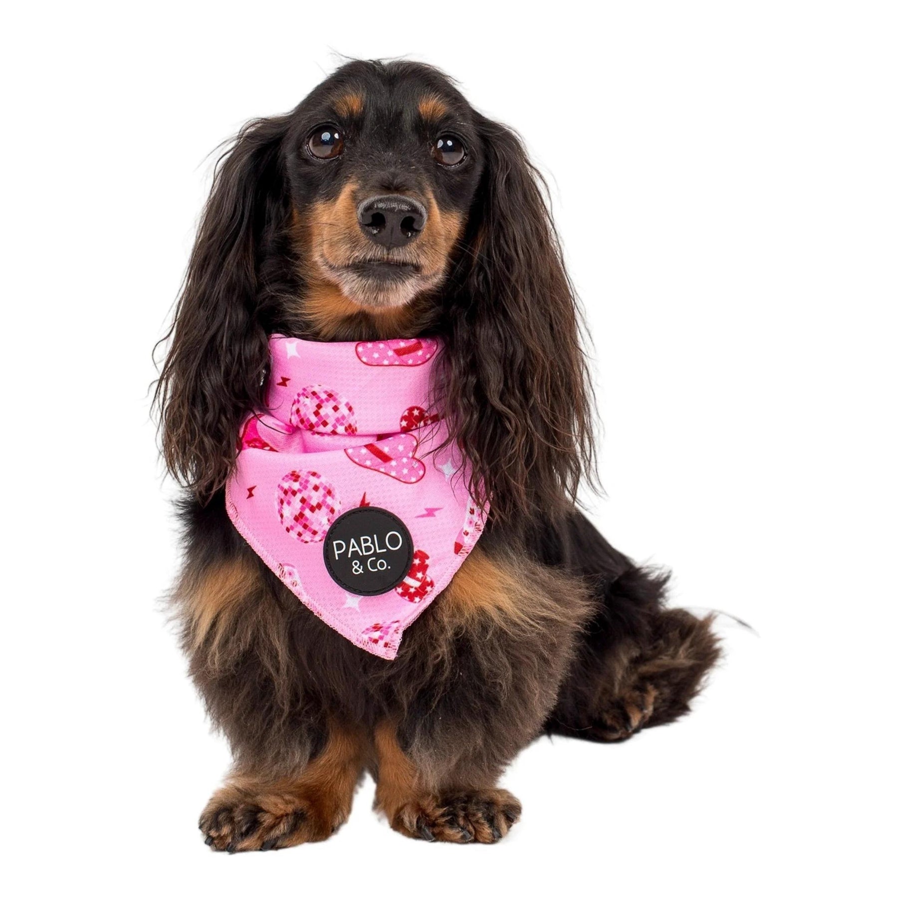 Fancy deals dog bandanas