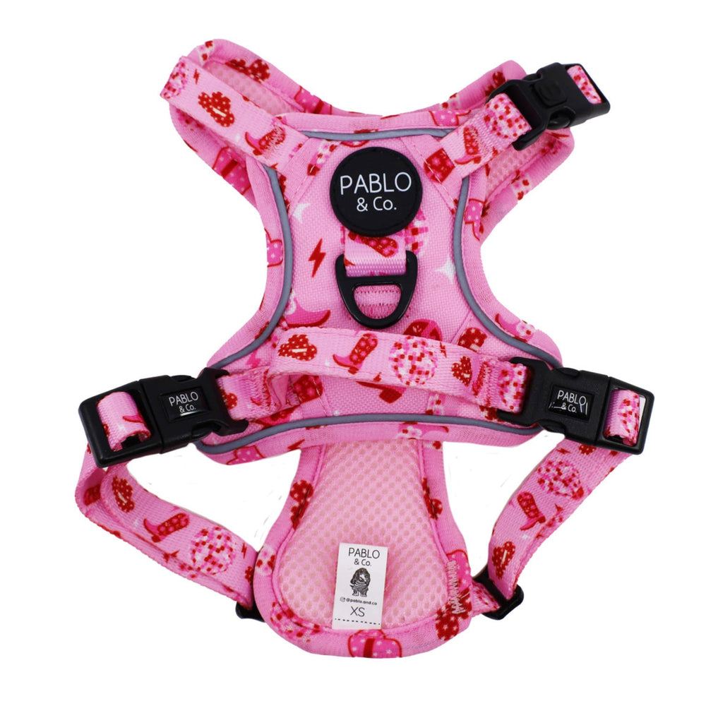 
                  
                    Disco Cowgirl No Pull Adventure Harness - Pooch Luxury
                  
                