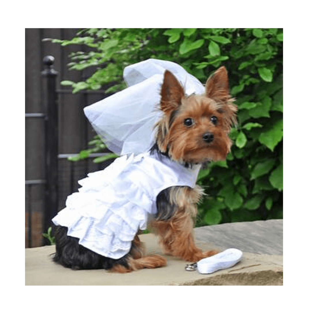 Dog Harness Wedding Dress with Veil & Matching Leash - Pooch Luxury