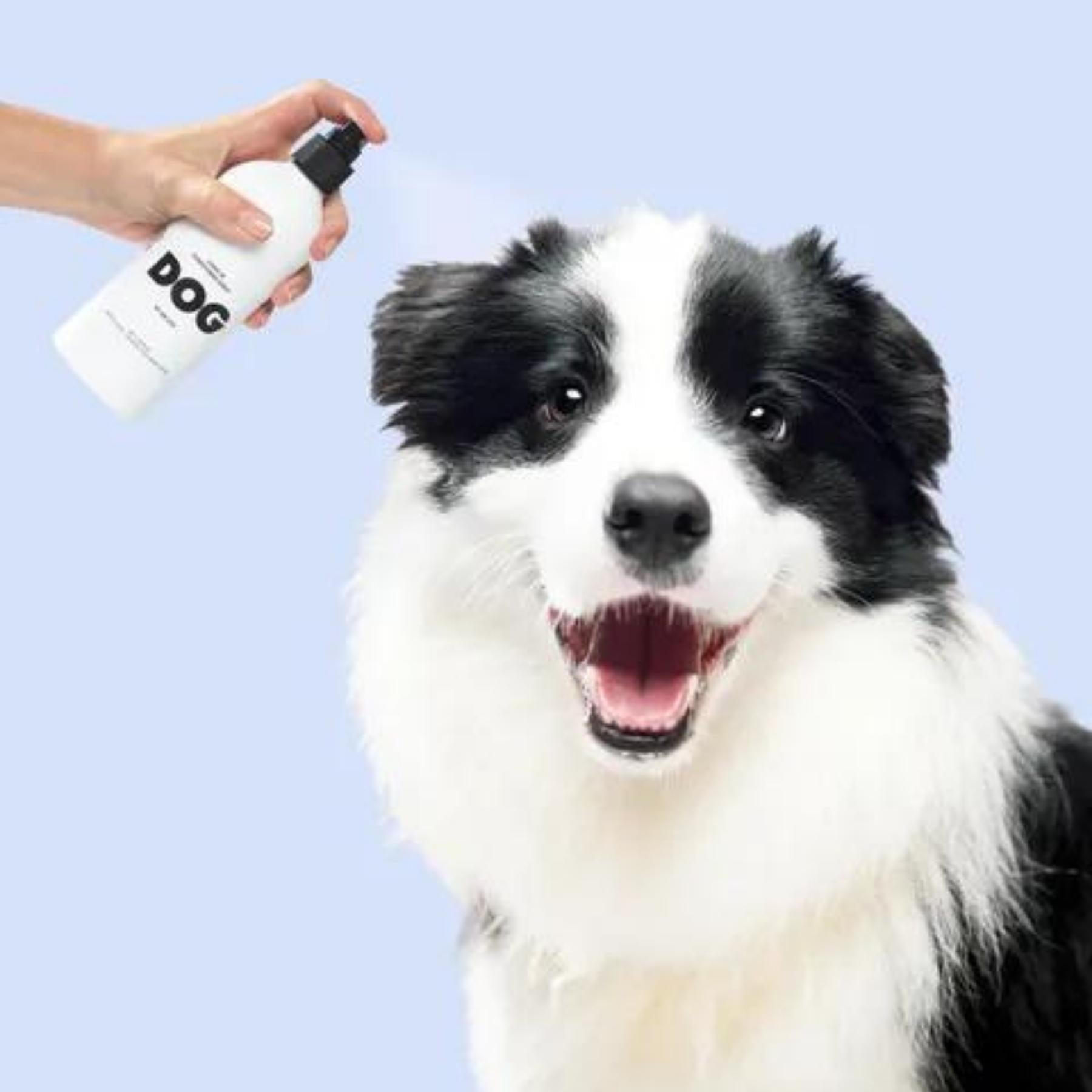 DOG Leave In Conditioner Spray - Pooch Luxury