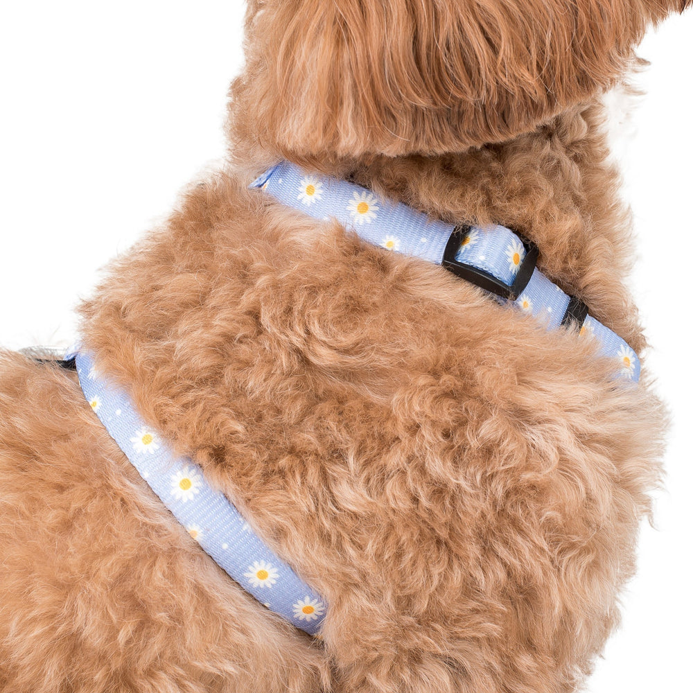 
                  
                    Dog Strap Harness - Blue Daisy - Pooch Luxury
                  
                