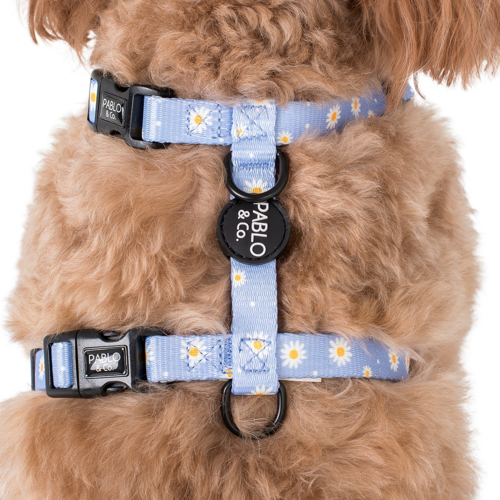 Dog Strap Harness - Blue Daisy - Pooch Luxury