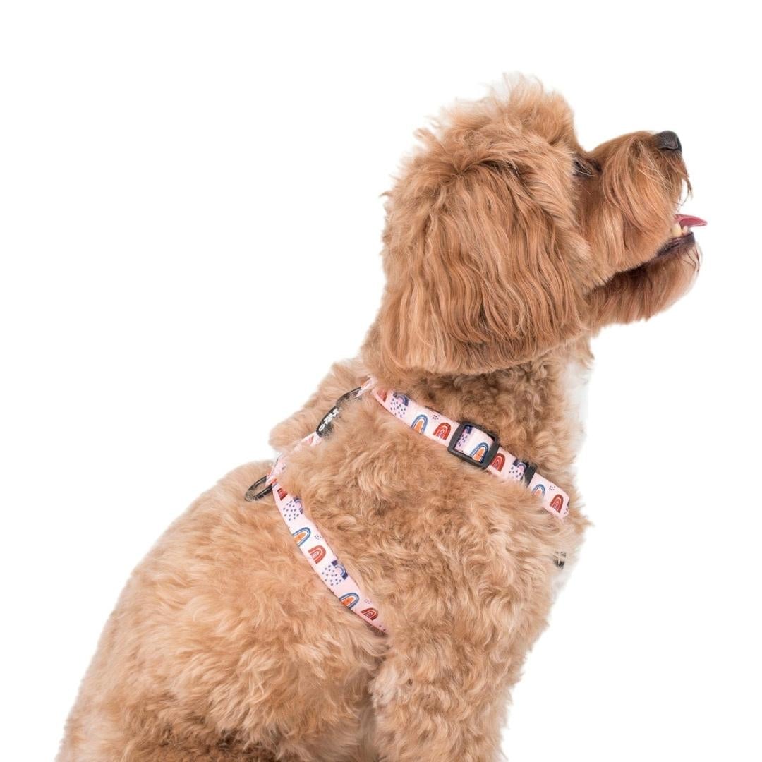 Dog Strap Harness - Pink Rainbows - Pooch Luxury