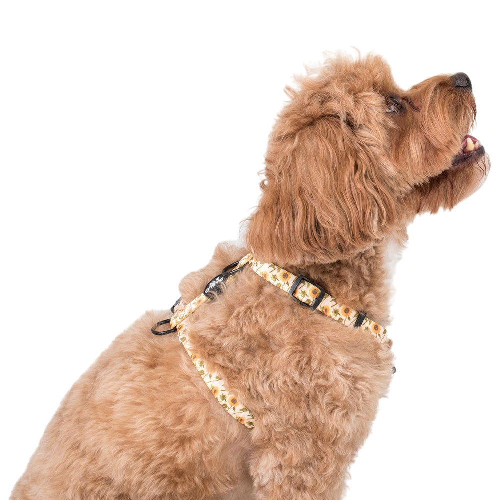 
                  
                    Dog Strap Harness - Sunflowers - Pooch Luxury
                  
                