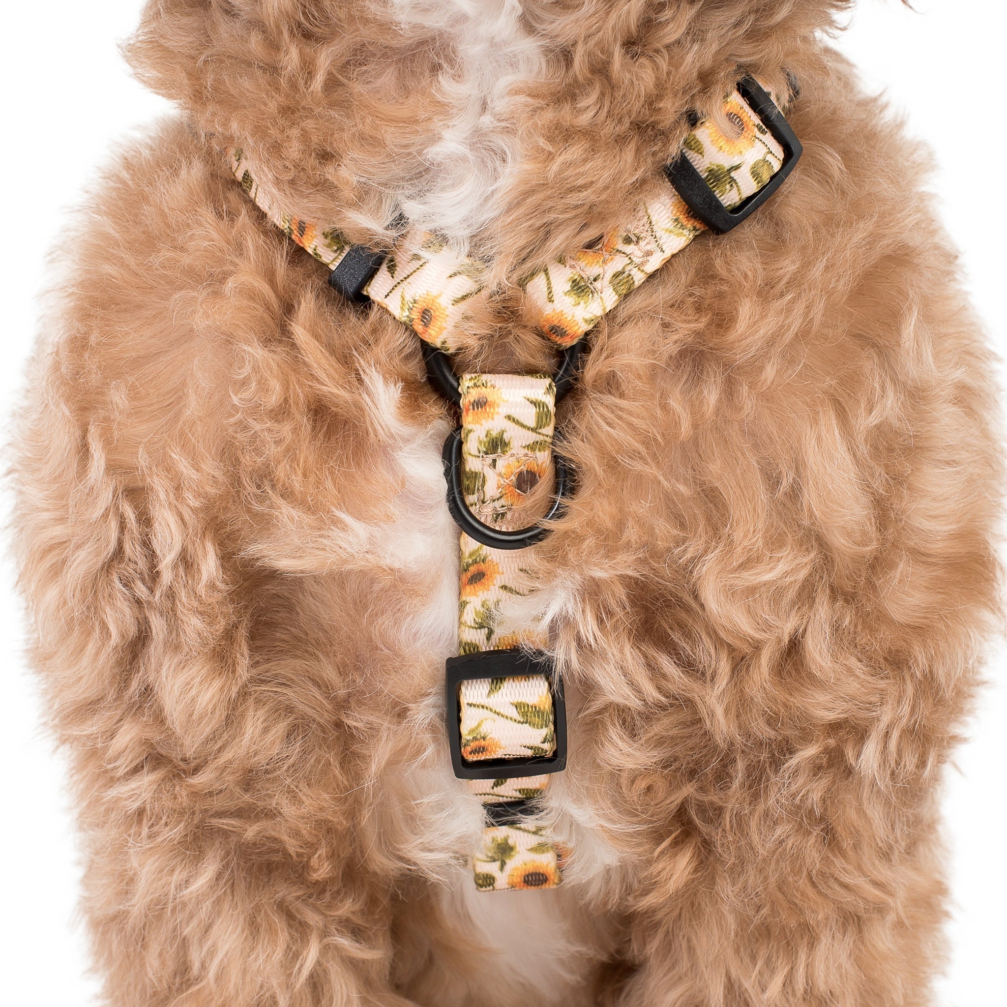 Dog Strap Harness - Sunflowers - Pooch Luxury
