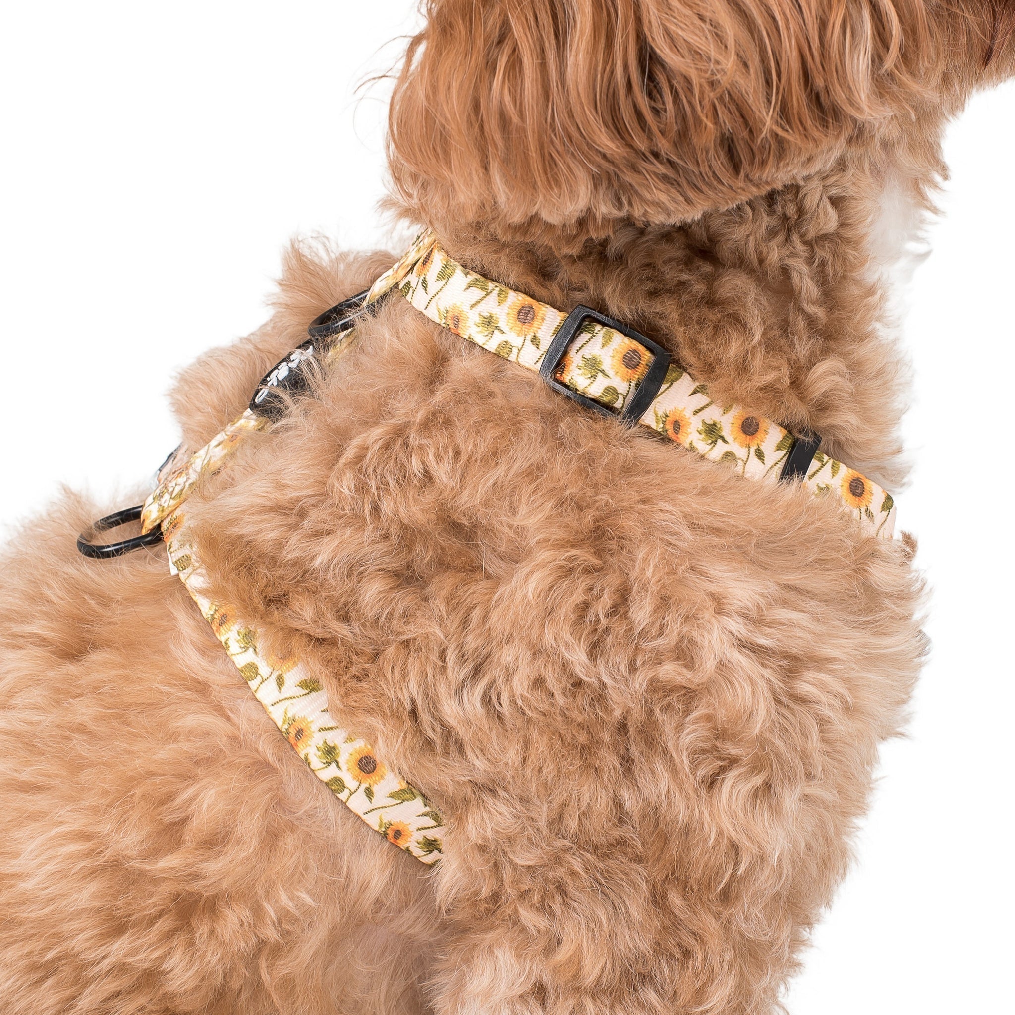 Dog Strap Harness - Sunflowers - Pooch Luxury
