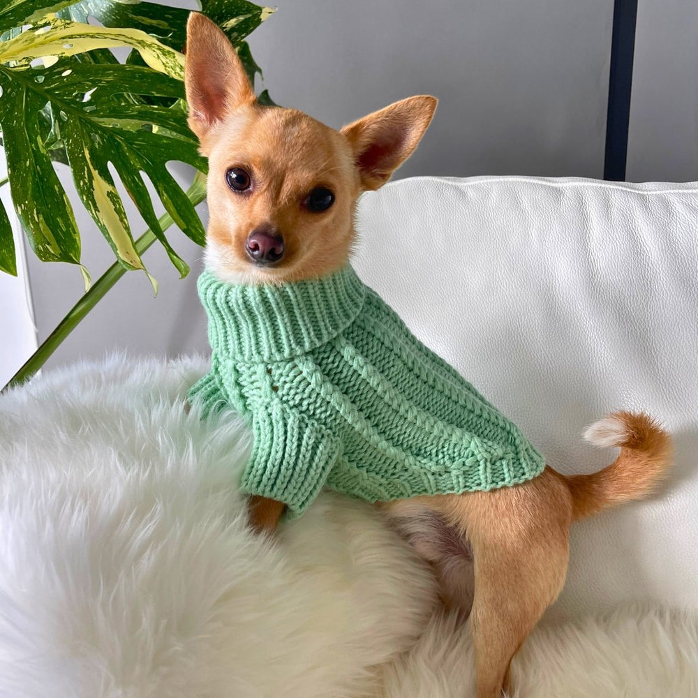 Dog Sweater - Hint of Mint - Pooch Luxury