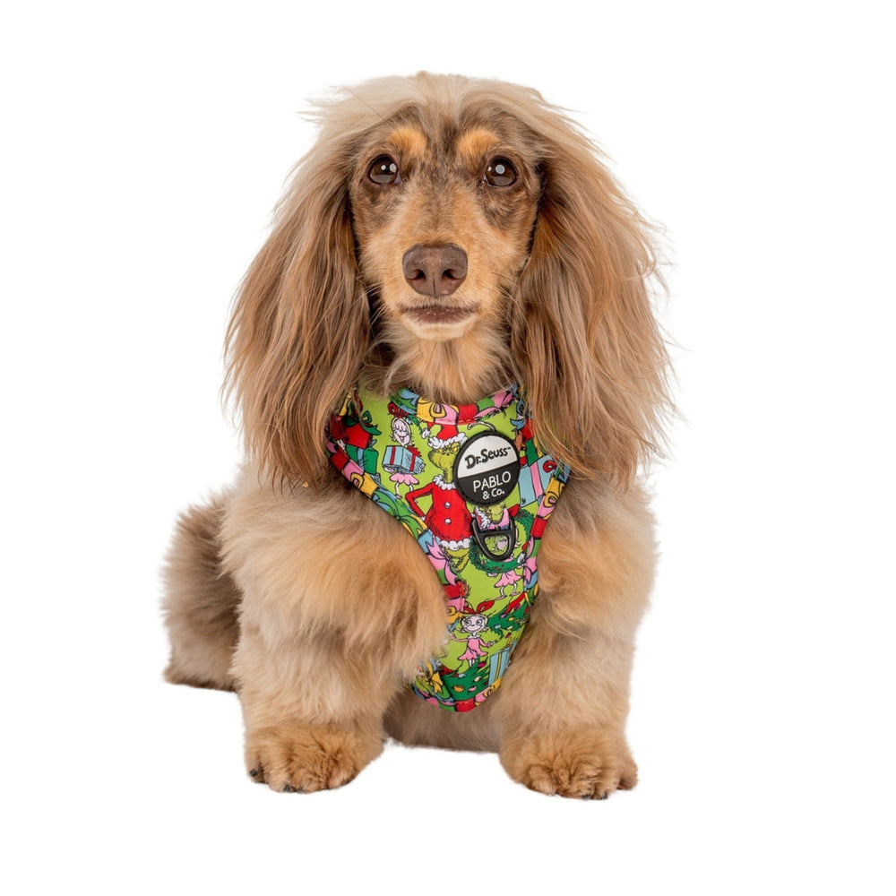 Dr. Seuss' Who-Ville Adjustable Harness - Pooch Luxury