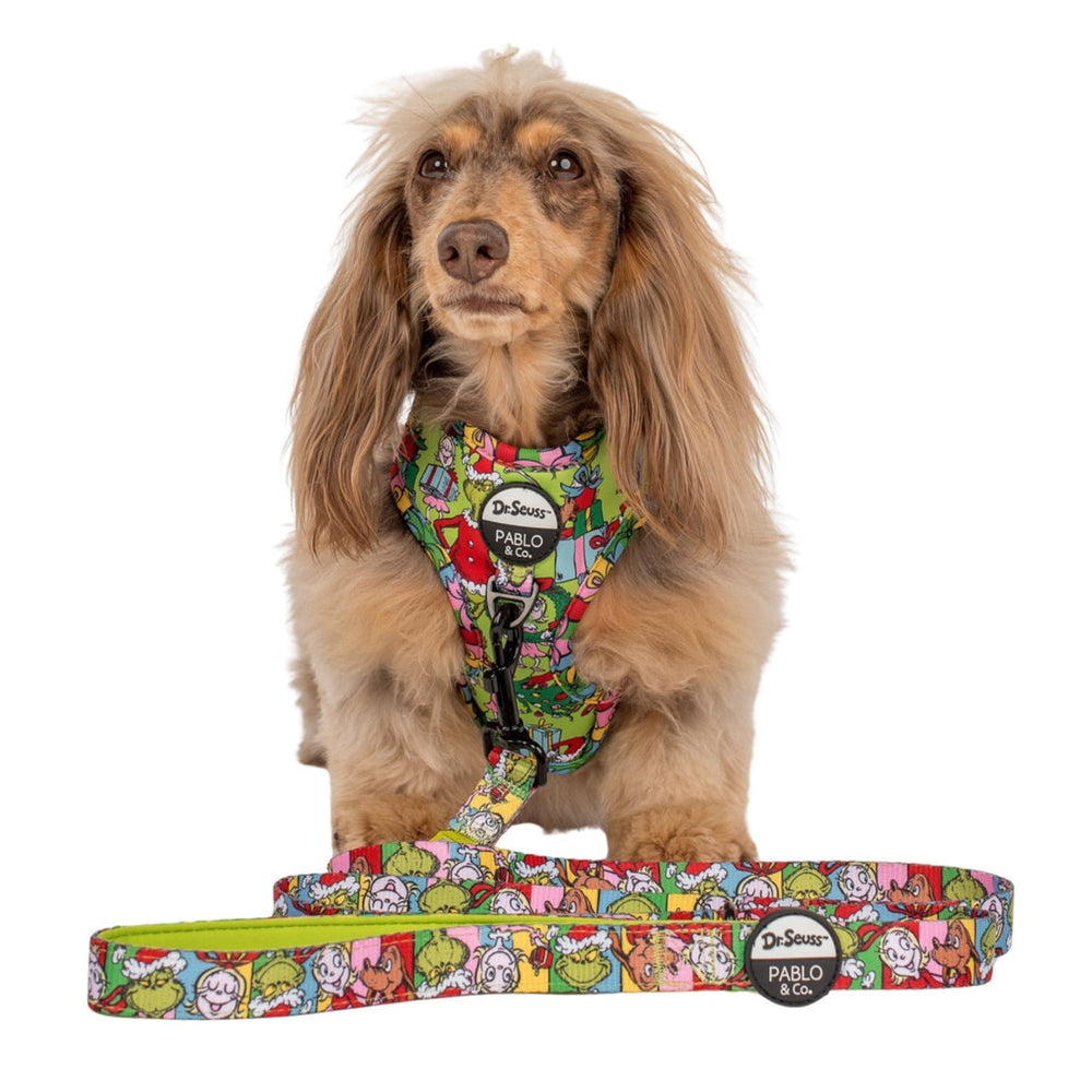 Dr. Seuss' Who-Ville Dog Leash - Pooch Luxury
