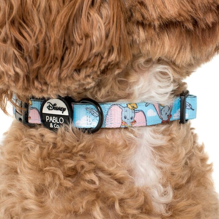 Dumbo In The Clouds Dog Collar - Pooch Luxury