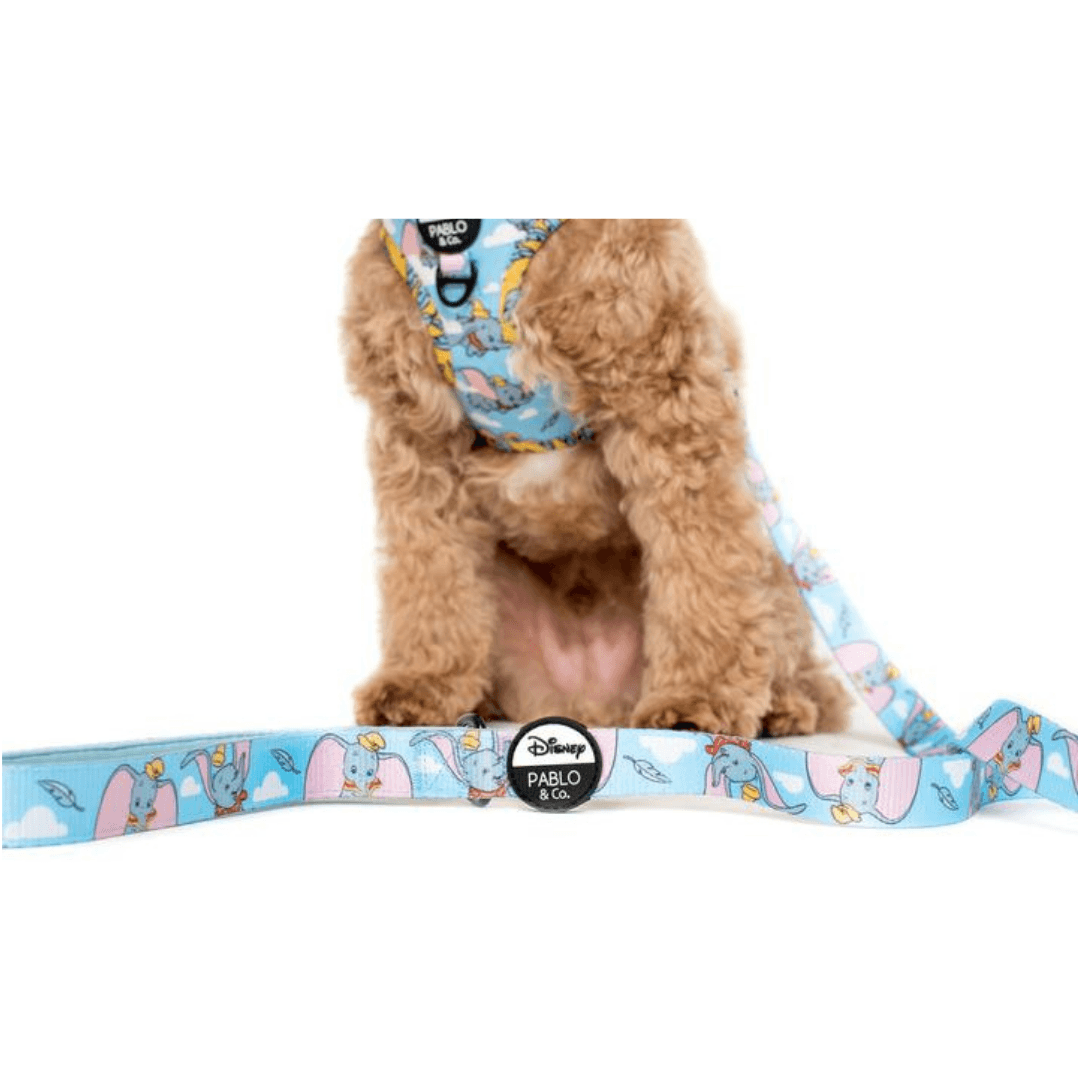 Dumbo In The Clouds Dog Leash - Pooch Luxury