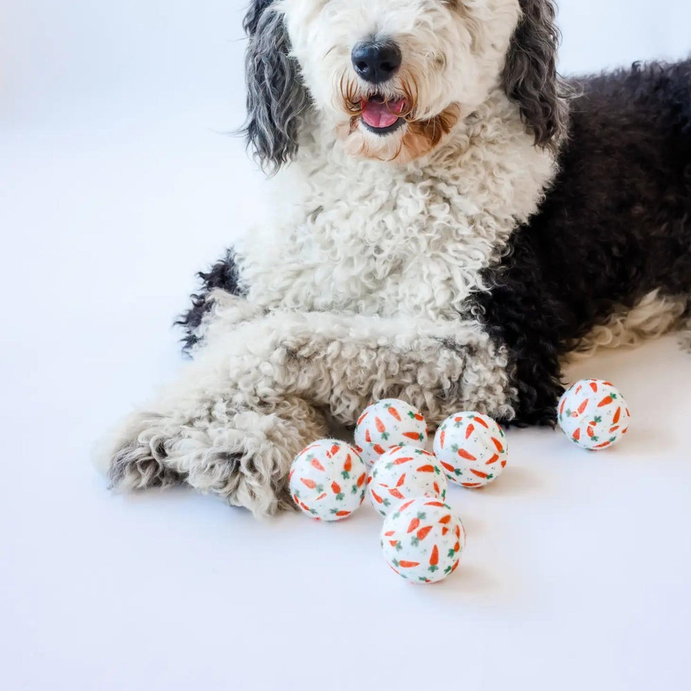 
                      
                        Easter Carrot Dog Tennis Balls - Pooch Luxury
                      
                    