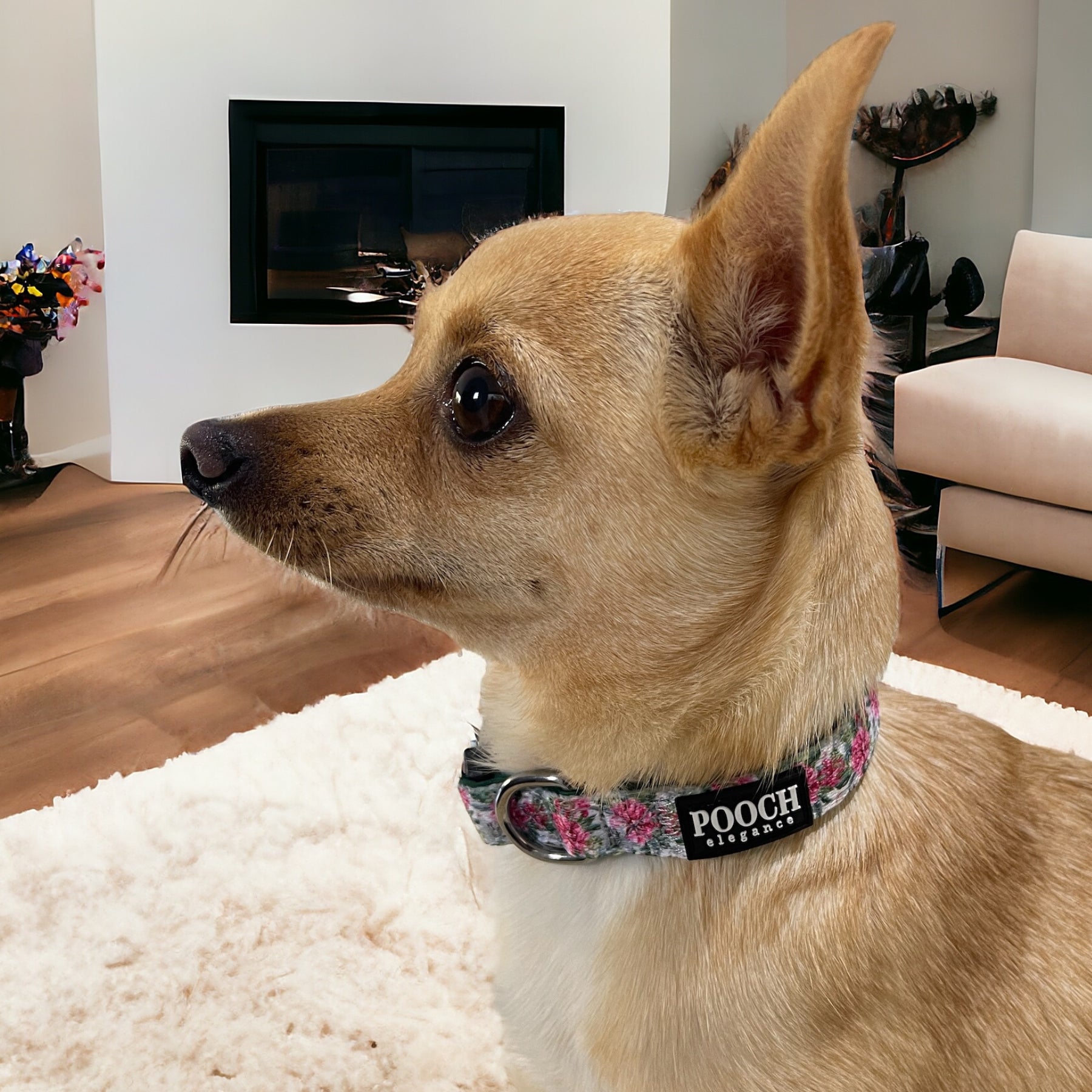 Exotic Blooms Dog Collar - FINAL SALE NO RETURNS - Pooch Luxury