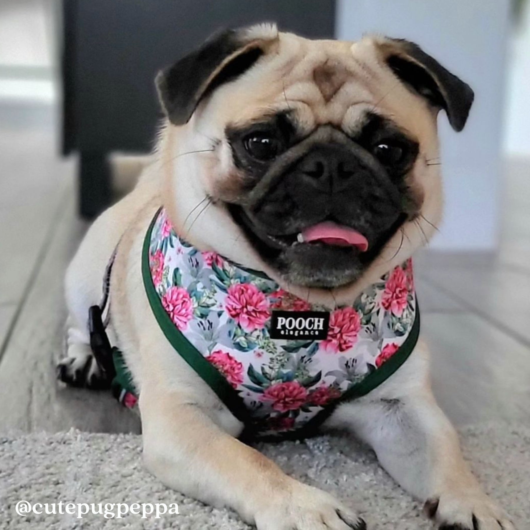 Exotic Blooms Reversible Dog Harness - Pooch Luxury
