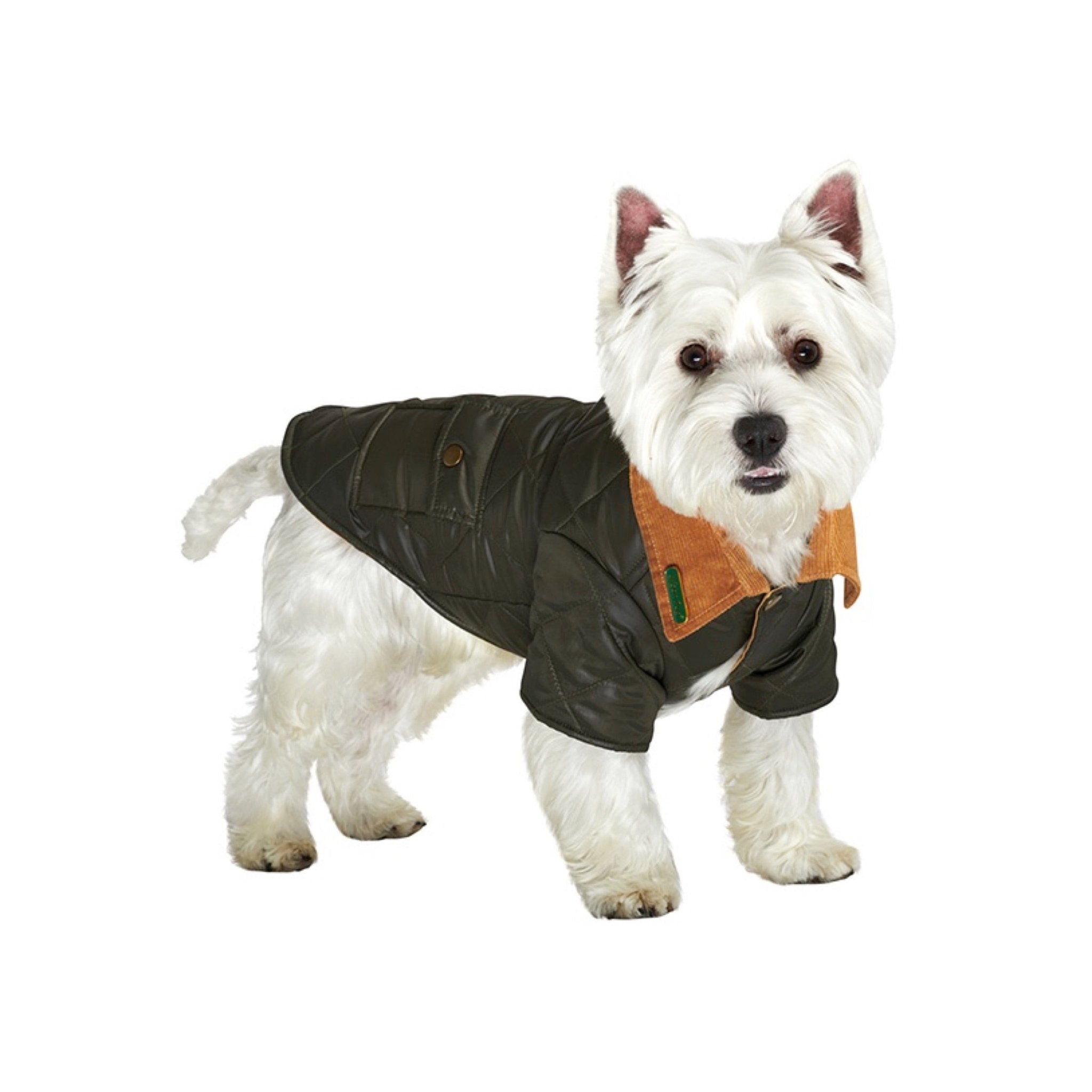 Forest Green Quilted Town & Country Coat - Pooch Luxury