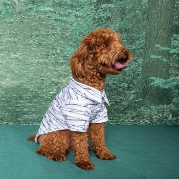 
                  
                    Halloween Camp Shirt - Mummy - Pooch Luxury
                  
                