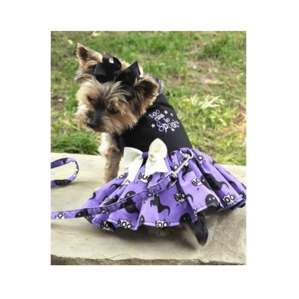 Halloween Dog Harness Dress -Too Cute To Spook - Pooch Luxury