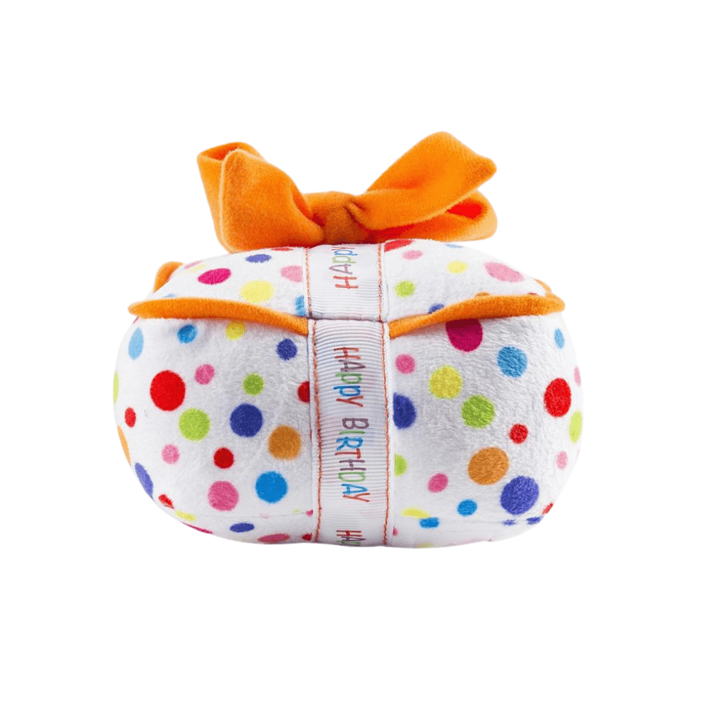 Happy Birthday Gift Box - Pooch Luxury