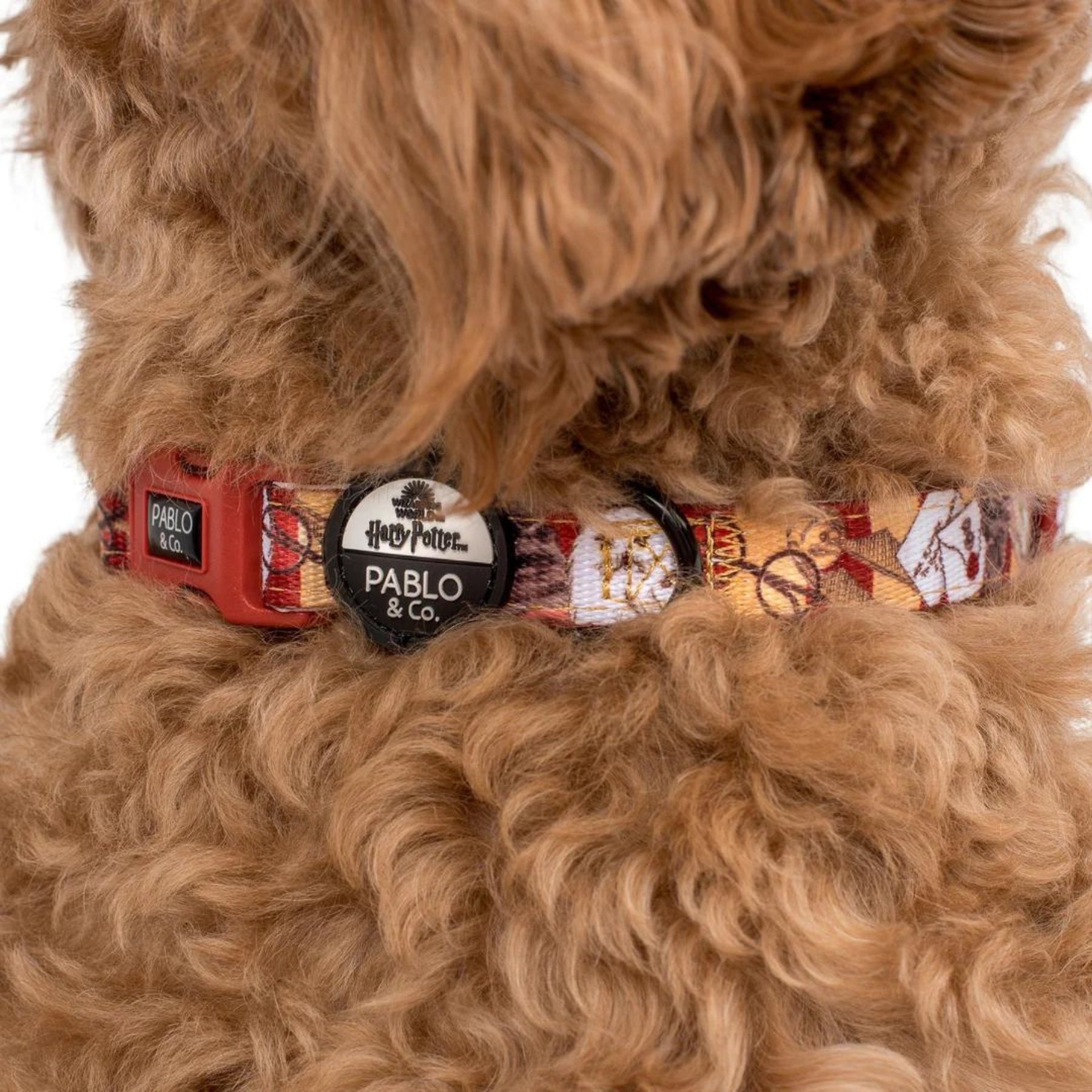Harry Potter Dog Collar - Pooch Luxury