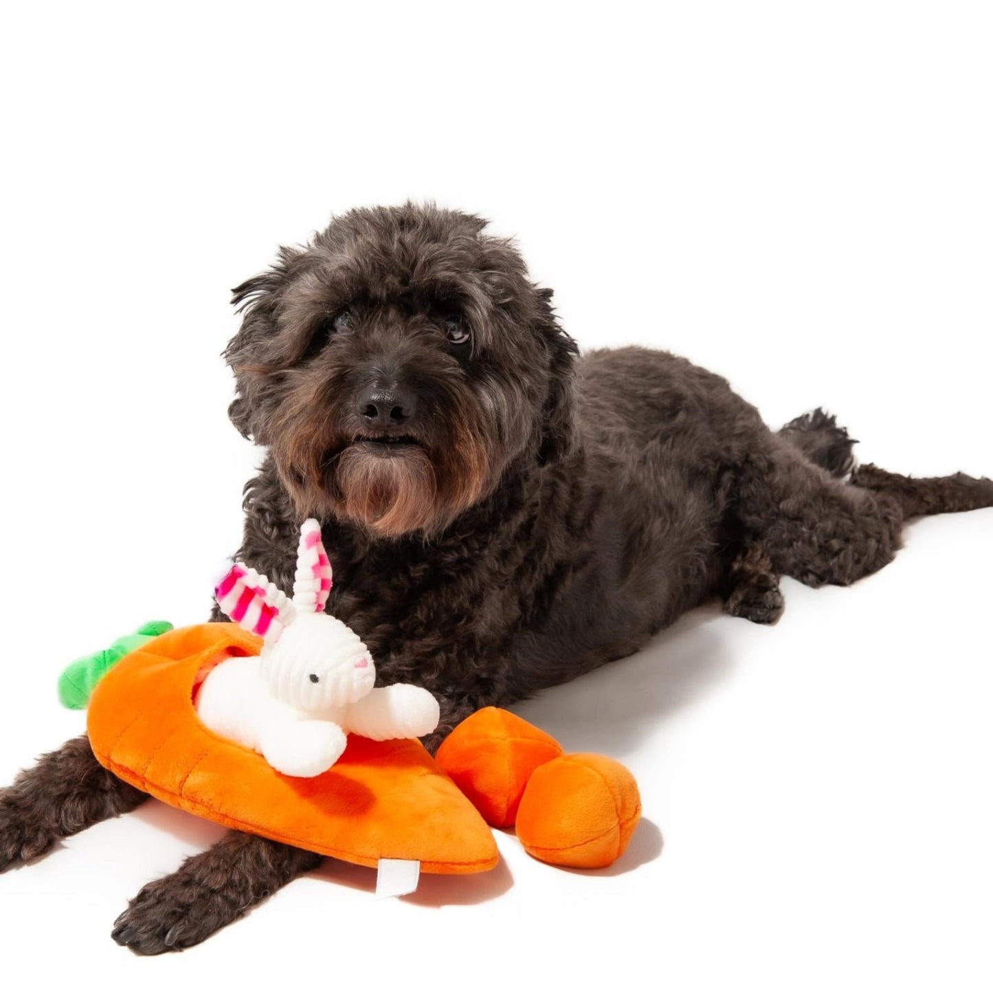 Hide A Toy Carrot with Balls & Rabbit Easter Dog Toy - Pooch Luxury