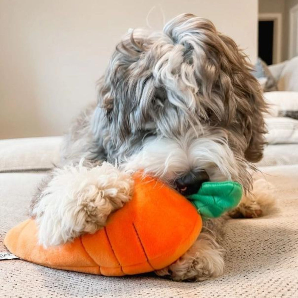 
                  
                    Hide A Toy Carrot with Balls & Rabbit Easter Dog Toy - Pooch Luxury
                  
                