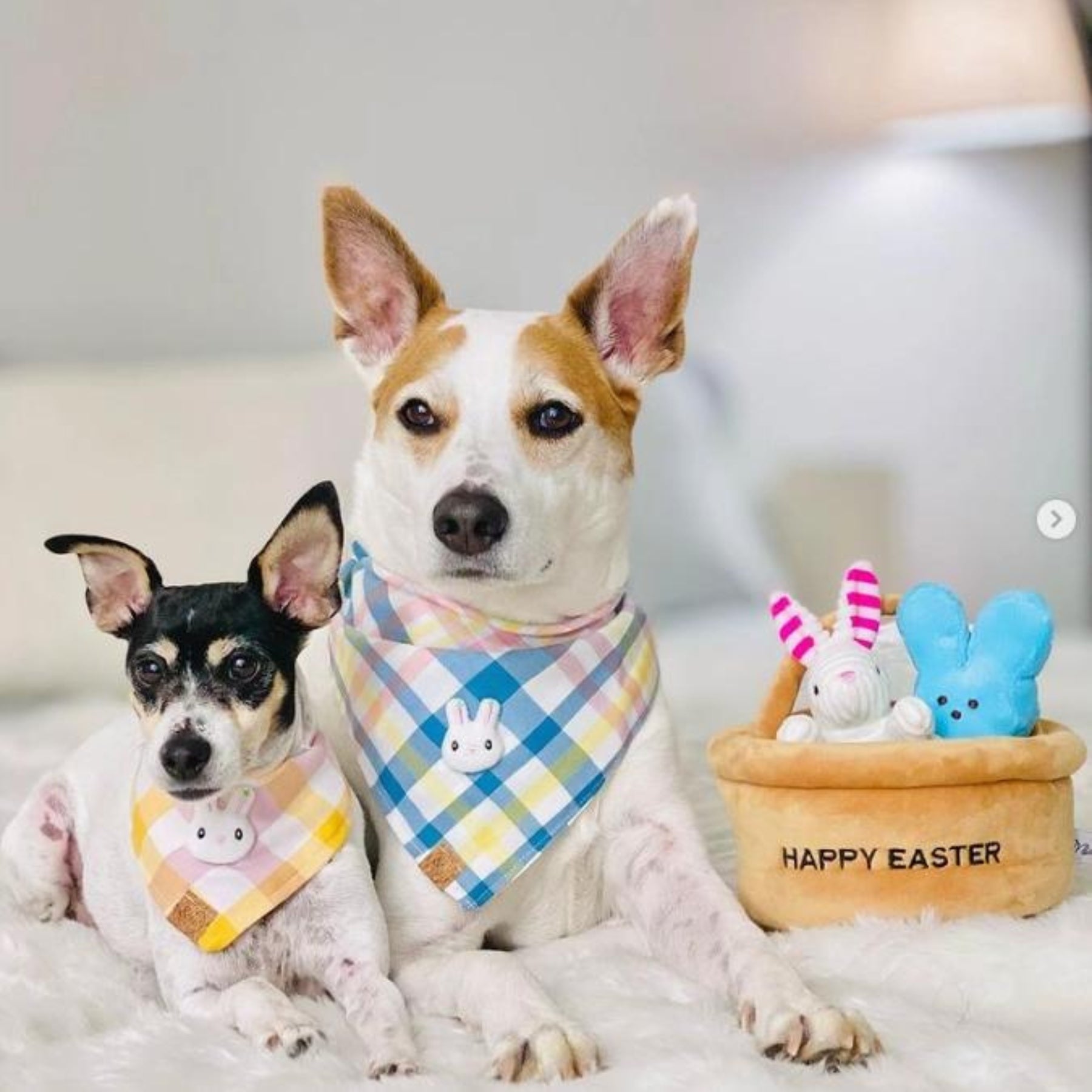 Hide A Toy Easter Basket Dog Toy - Pooch Luxury