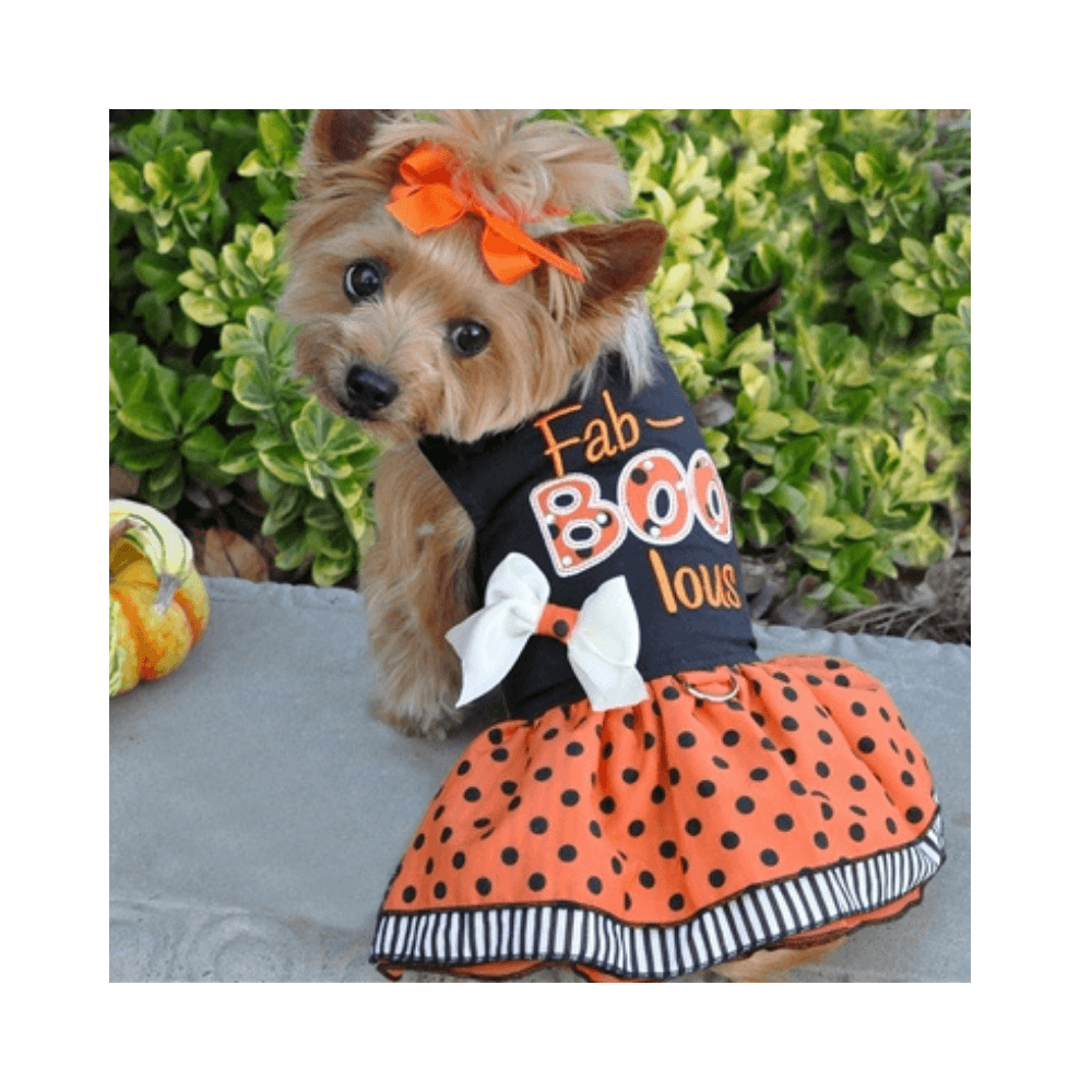 Holiday Dog Harness Dress -Fab-BOO-lous - Pooch Luxury