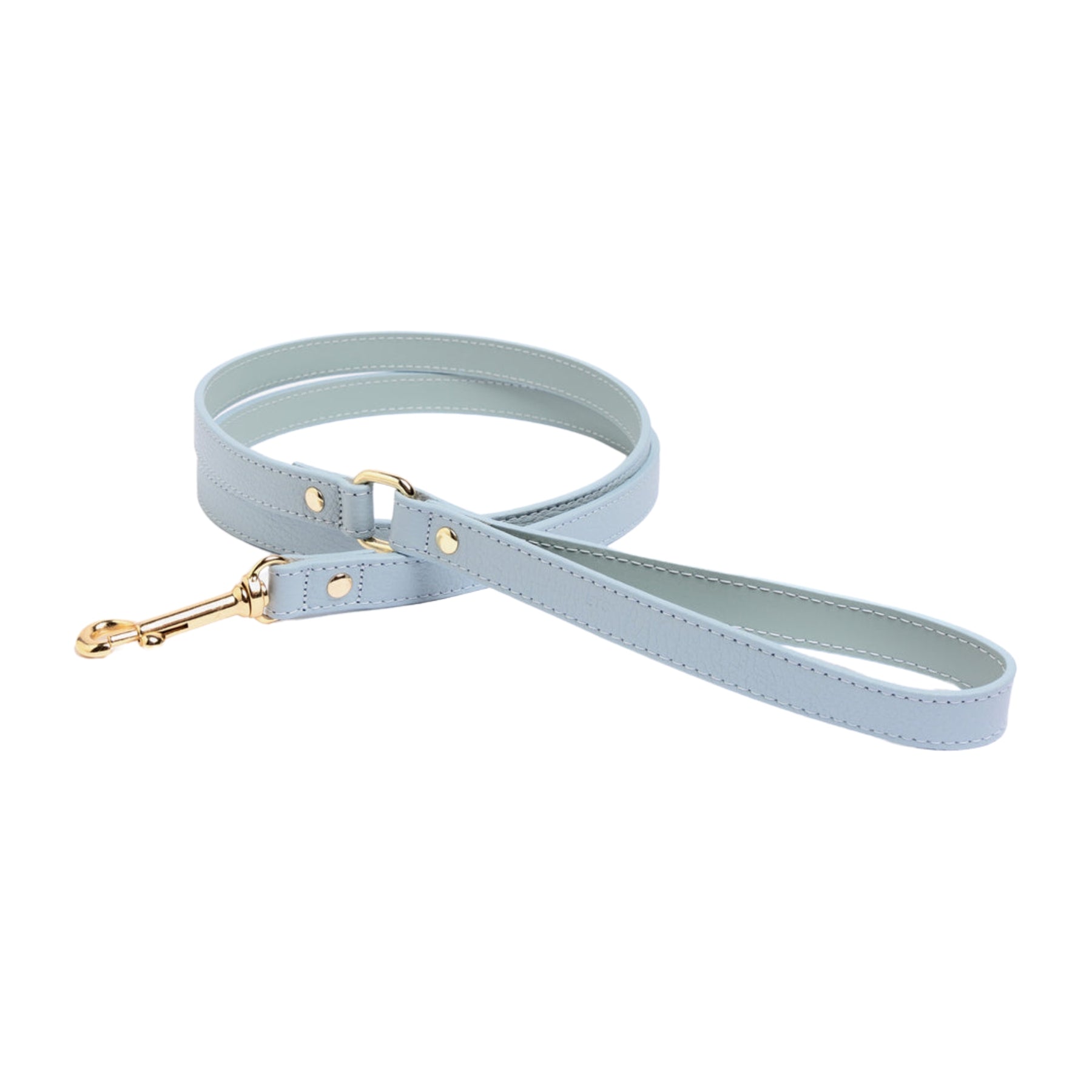 Light blue dog leash hotsell