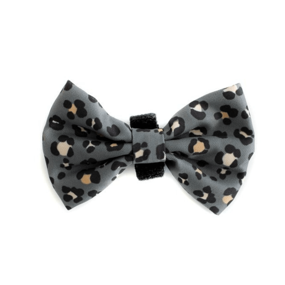 Khaki Leopard Bow Tie - Pooch Luxury