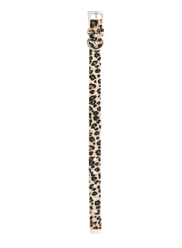 
                      
                        Leopard Print Fabric Collar - Pooch Luxury
                      
                    