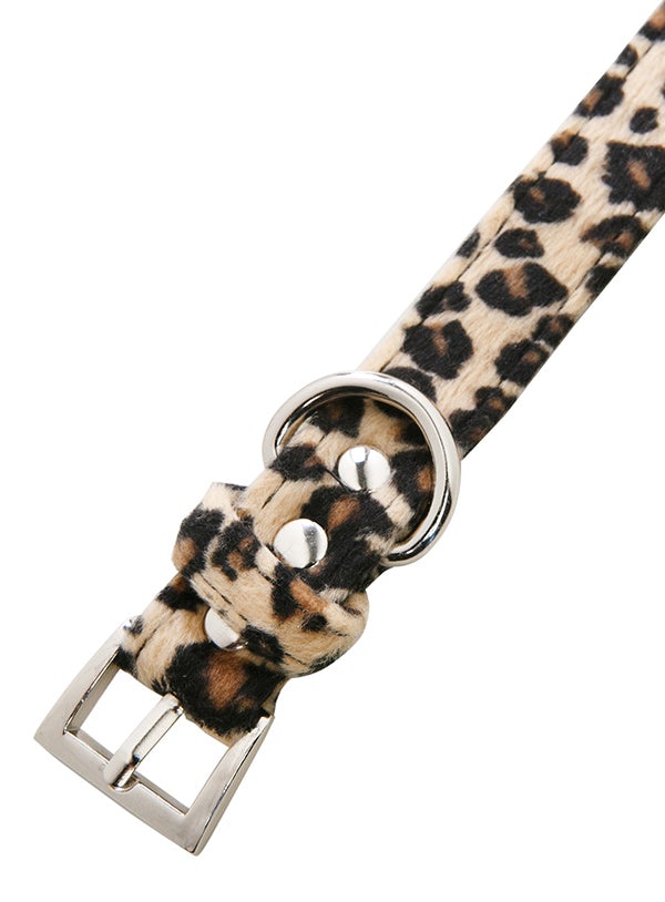 
                      
                        Leopard Print Fabric Collar - Pooch Luxury
                      
                    