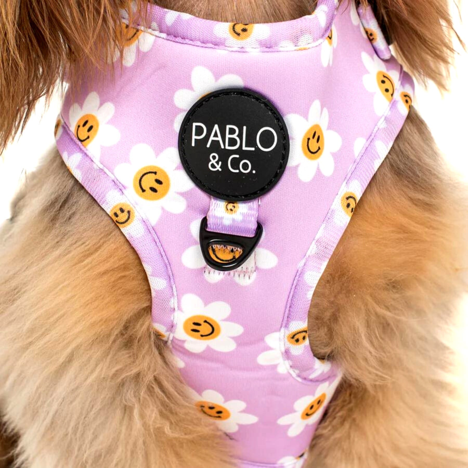 Lilac Smiley Flowers Adjustable Dog Harness - Pooch Luxury
