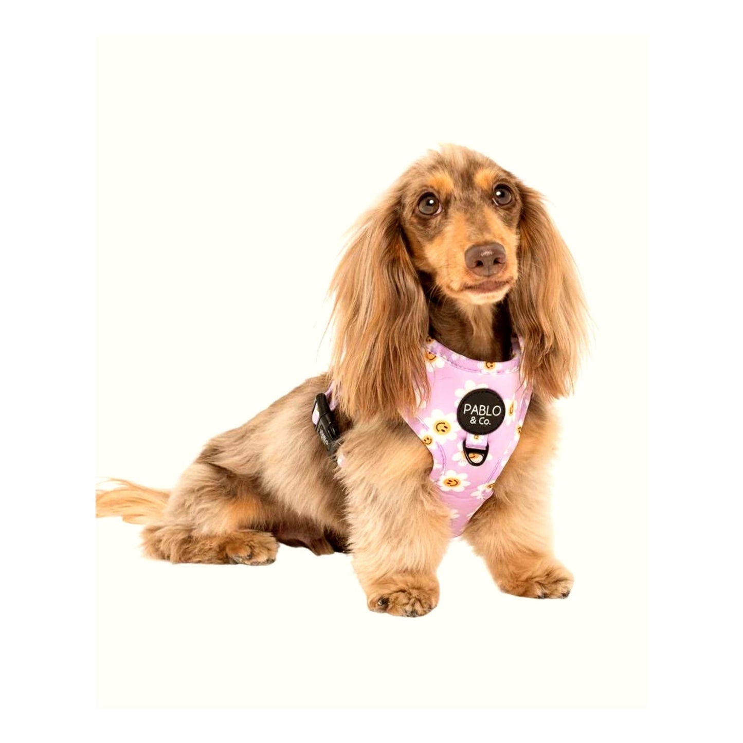 
                  
                    Lilac Smiley Flowers Adjustable Dog Harness - Pooch Luxury
                  
                