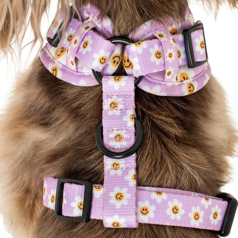 Lilac Smiley Flowers Adjustable Dog Harness - Pooch Luxury