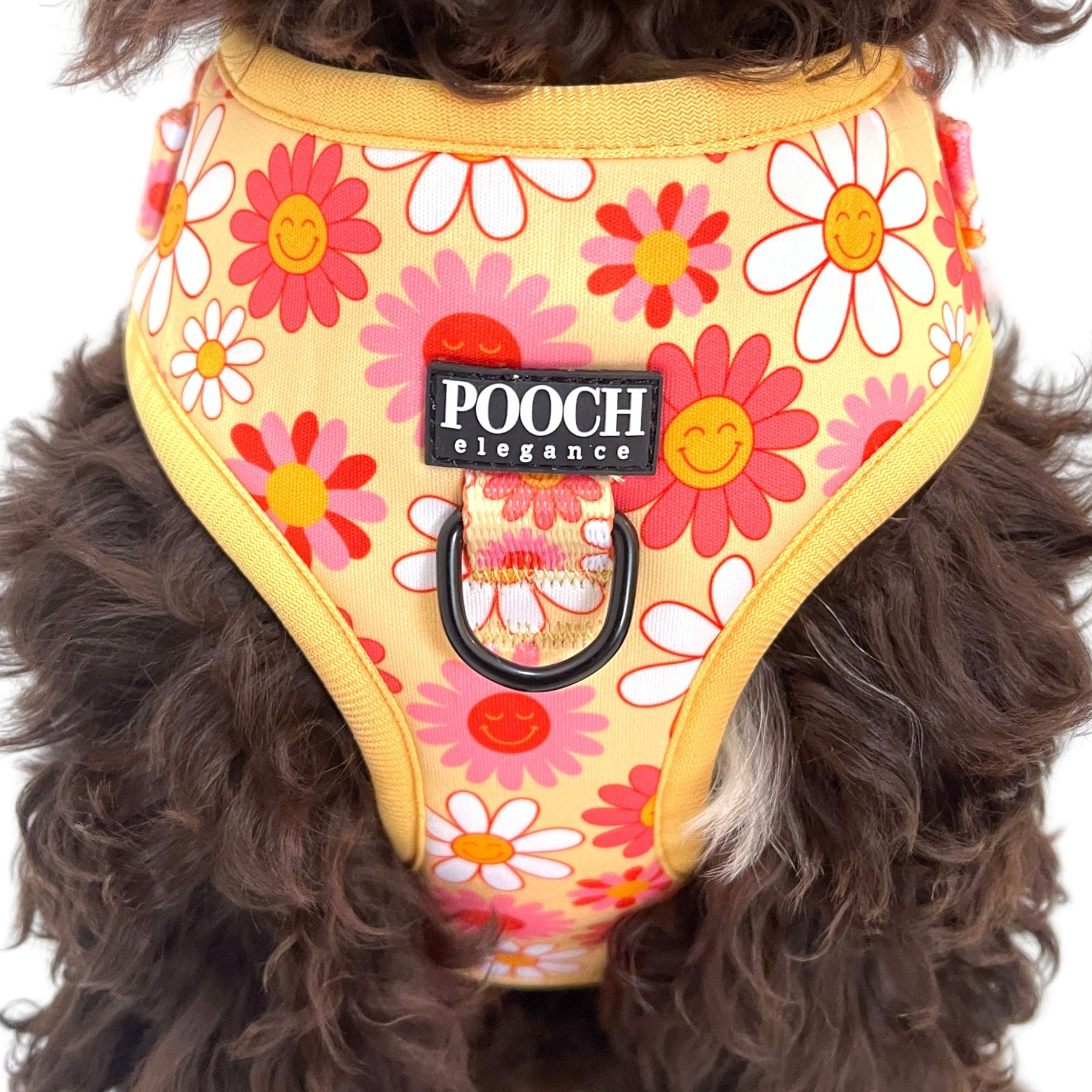 Little Bright Daisies Adjustable Harness - Pooch Luxury