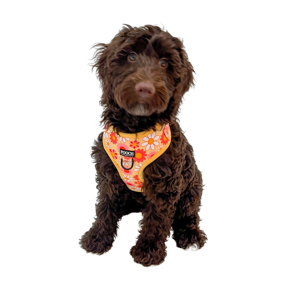 
                  
                    Little Bright Daisies Adjustable Harness - Pooch Luxury
                  
                
