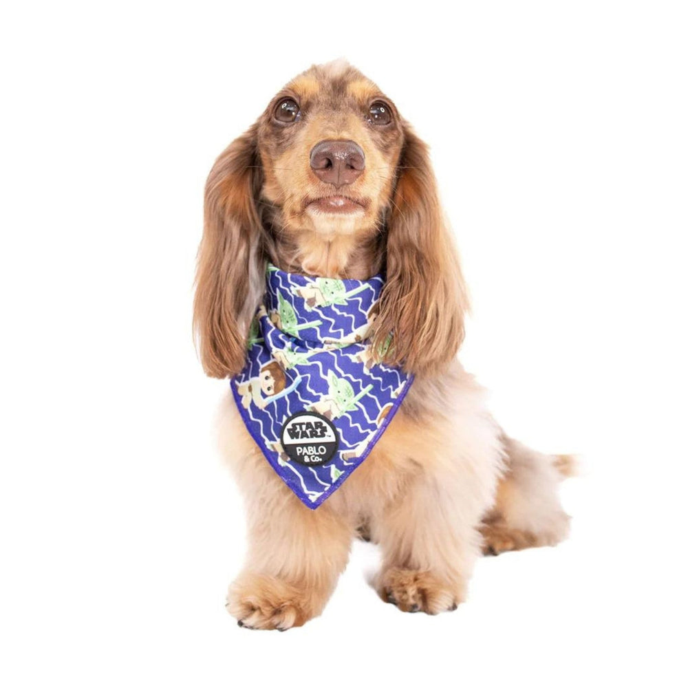 Luke Skywalker & Yoda Dog Bandana - Pooch Luxury